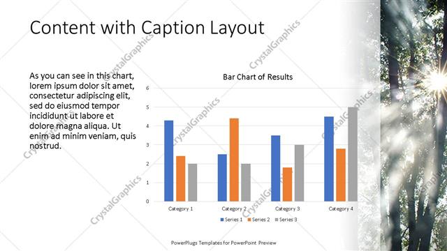 Content with Caption presentation slide layout