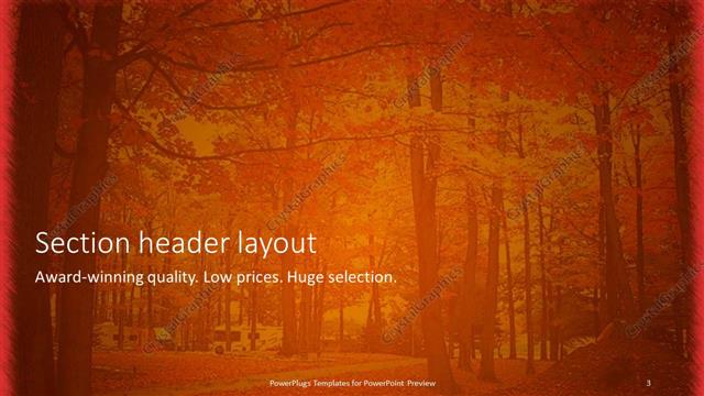 Section Header presentation slide layout