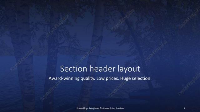 Section Header presentation slide layout