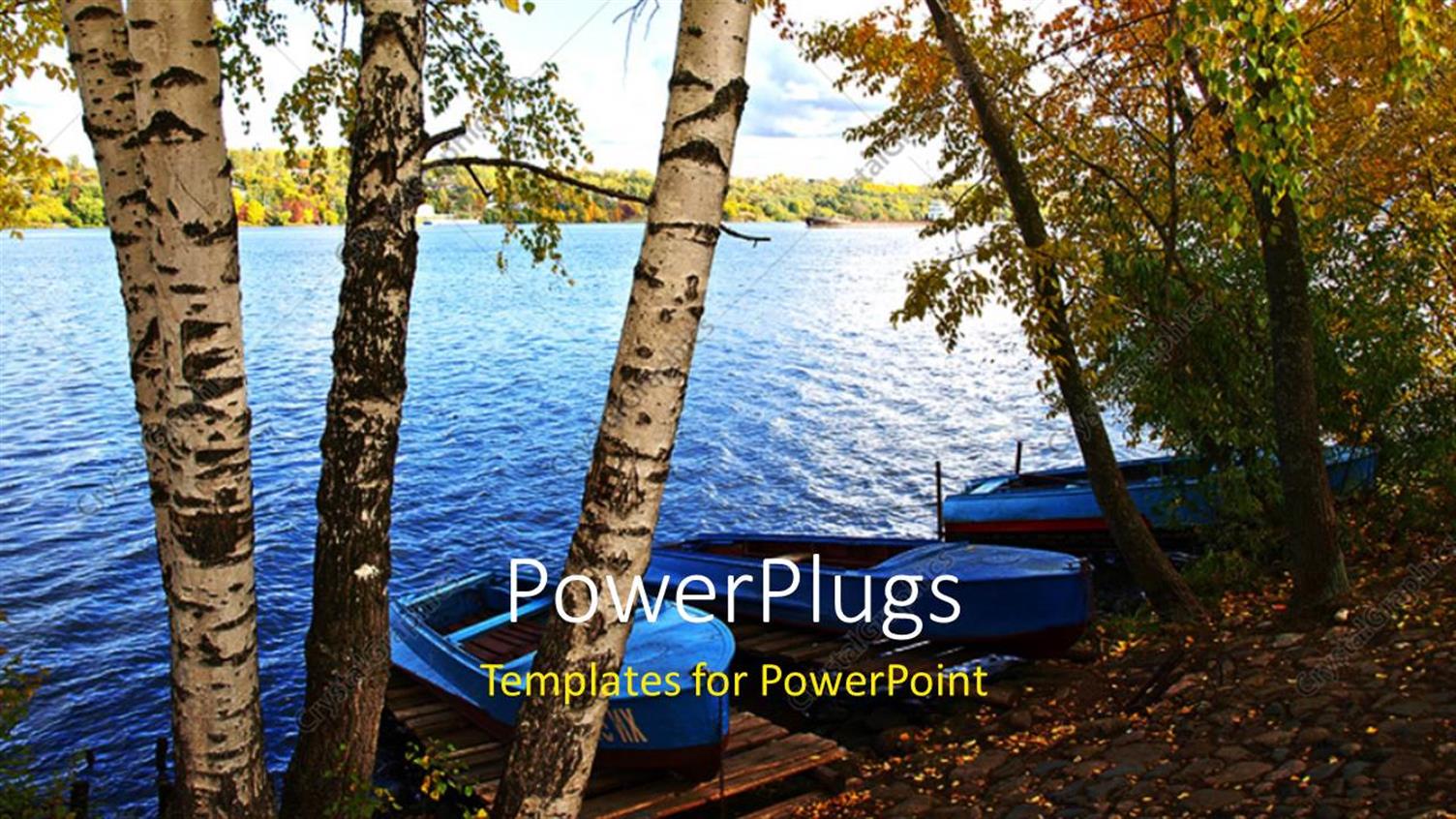 Premium Template for PowerPoint & Google Slides 