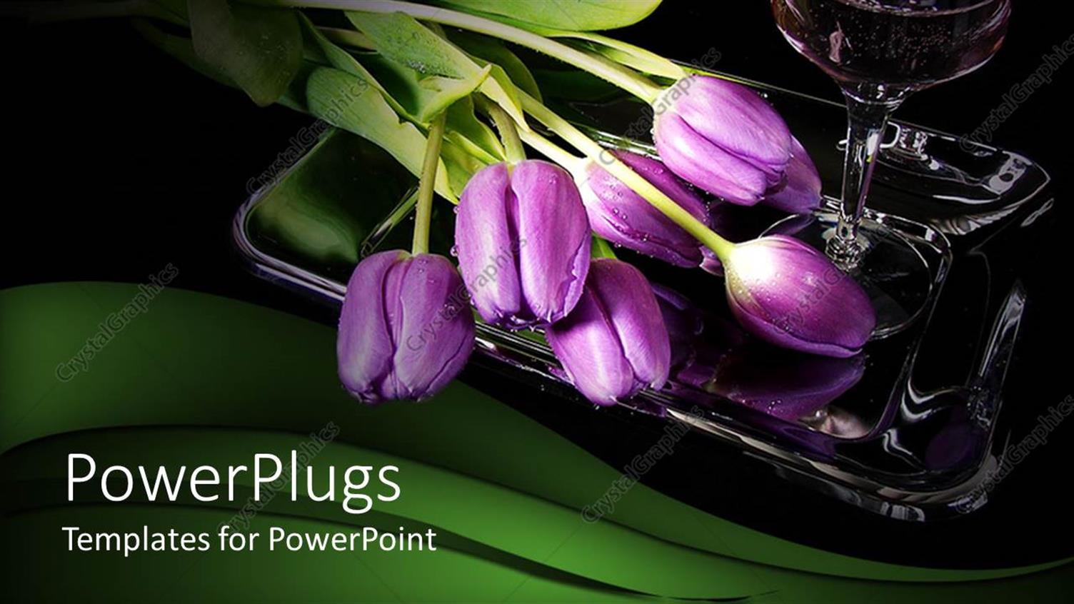 Premium Template for PowerPoint & Google Slides 