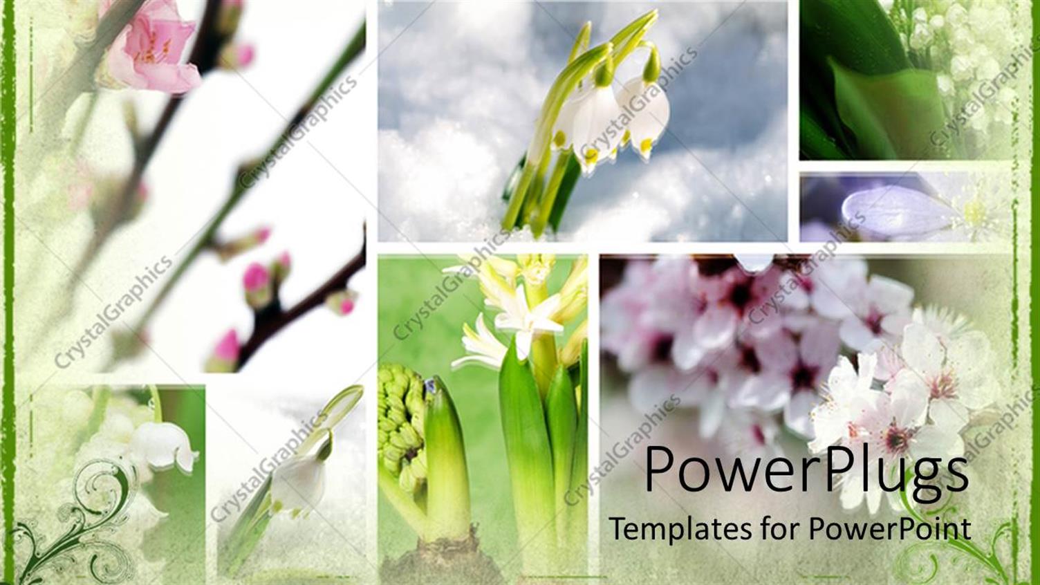 Featuring a Number of Various Flowers in Boxes