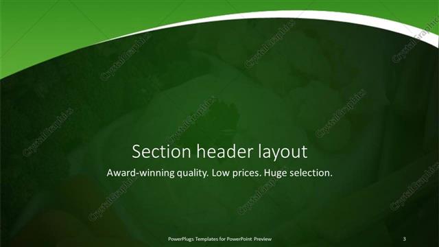 Section Header presentation slide layout