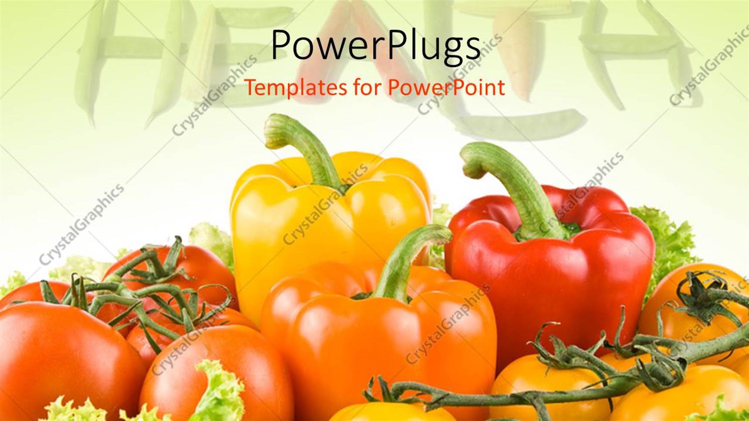 Premium Template for PowerPoint & Google Slides 
