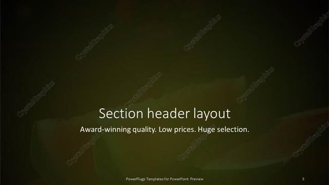 Section Header presentation slide layout