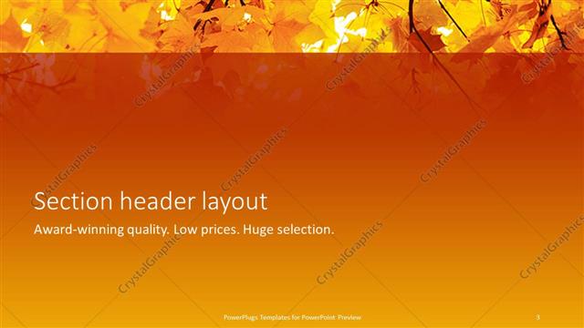 Section Header presentation slide layout