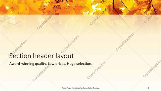 Section Header presentation slide layout