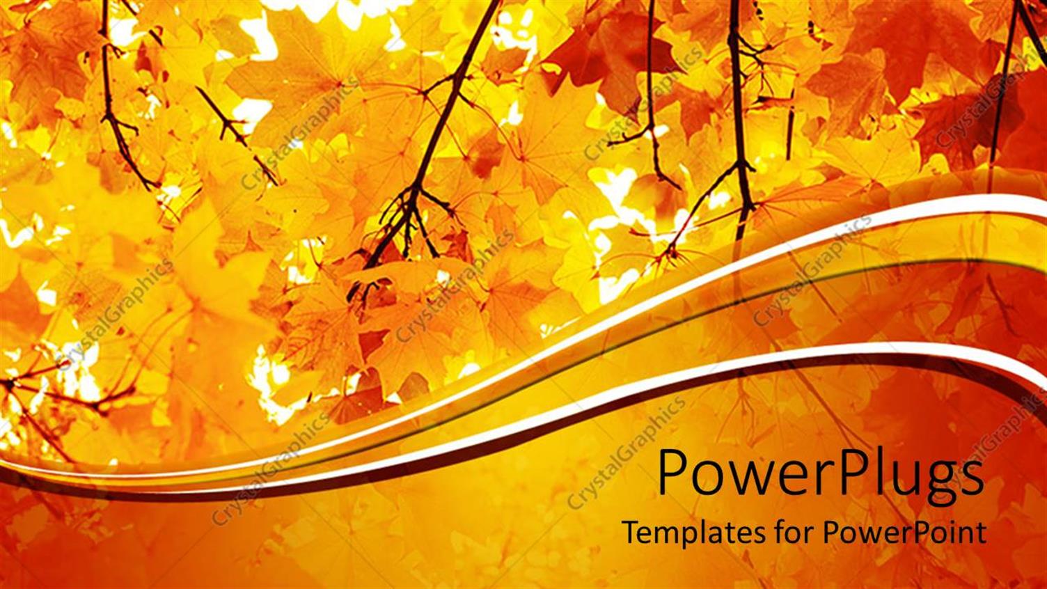 Premium Template for PowerPoint & Google Slides 