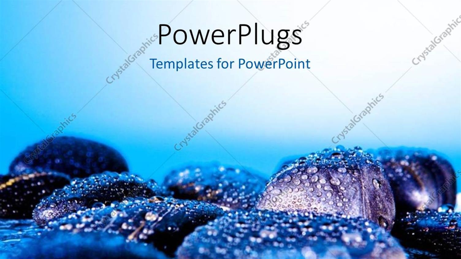 Premium Template for PowerPoint & Google Slides 