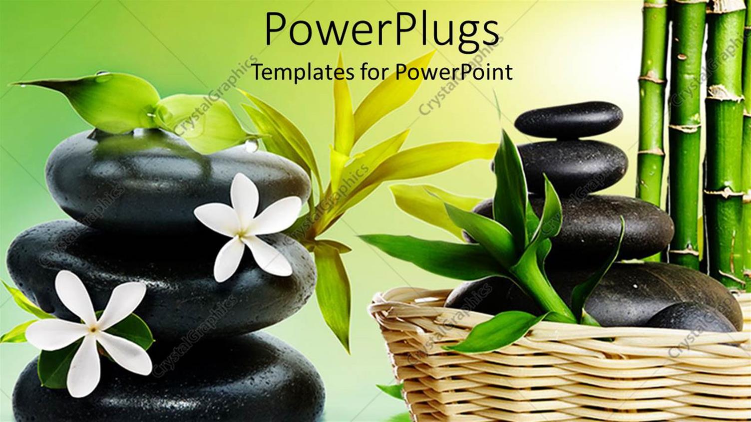 Premium Template for PowerPoint & Google Slides 