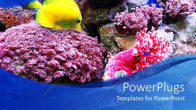  Presentation with fish ocean - An ocean with fish and plants in it showing sea life