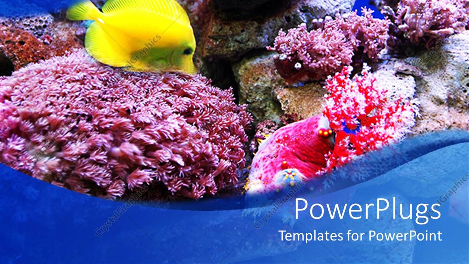 Premium Template for PowerPoint & Google Slides 