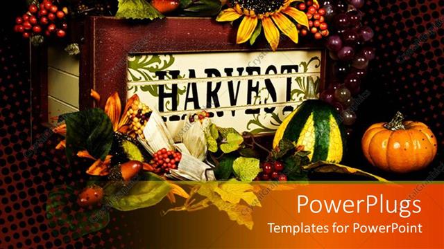  Presentation with sunflowers - Old wooden box with harvest word on it, filled with fruits, sunflowers, pumpkins, grapes