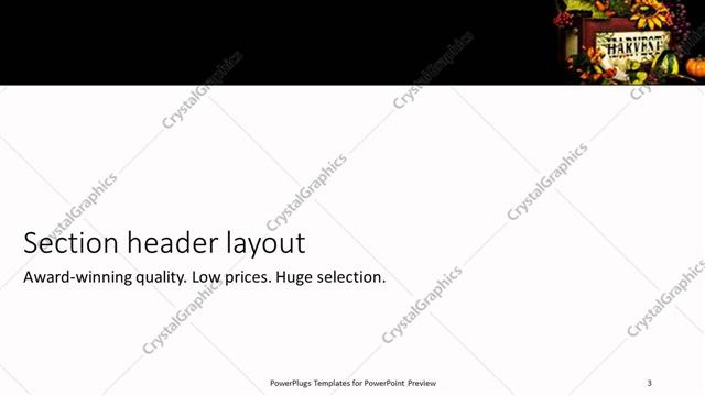 Section Header presentation slide layout