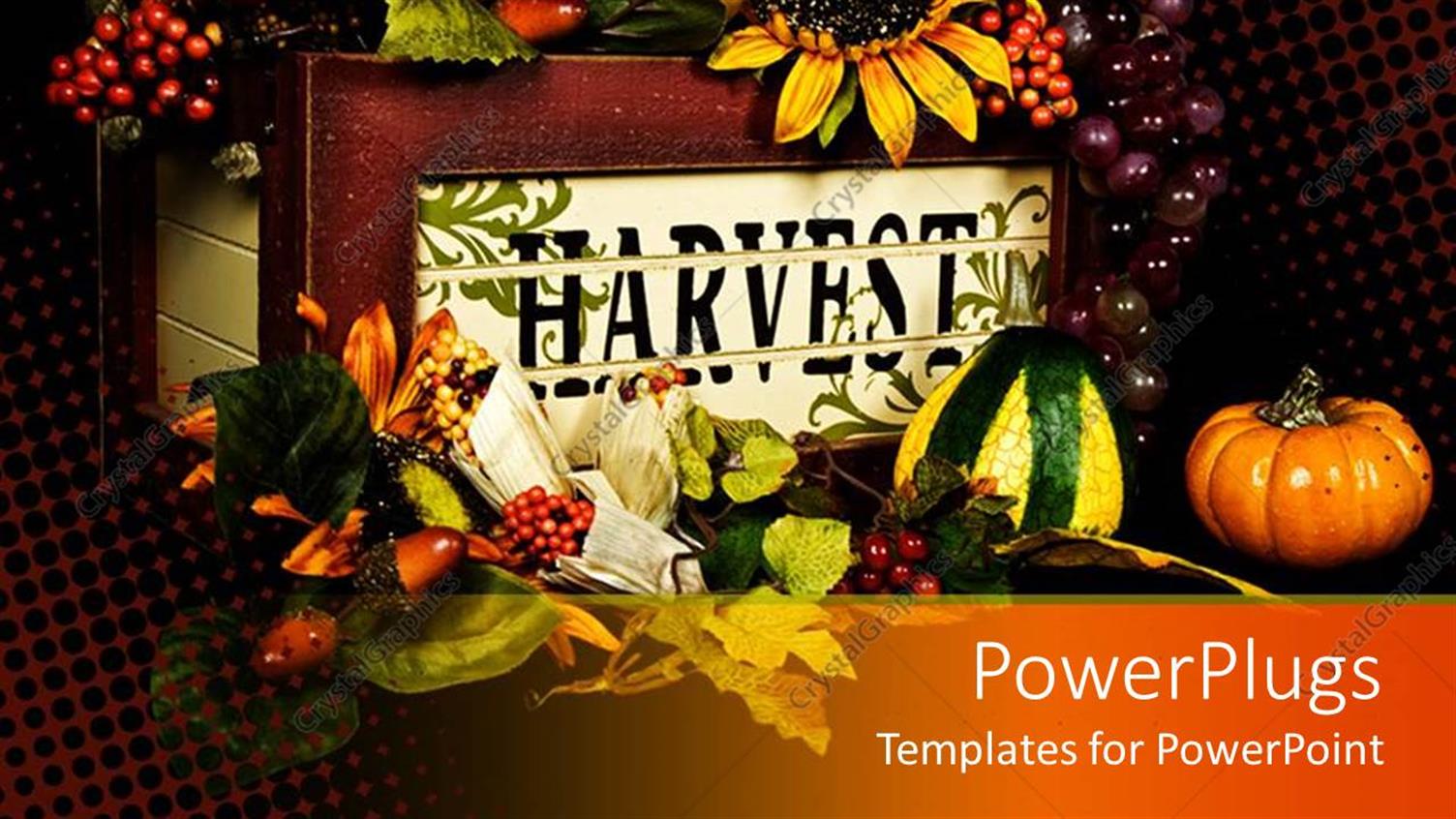 Premium Template for PowerPoint & Google Slides 