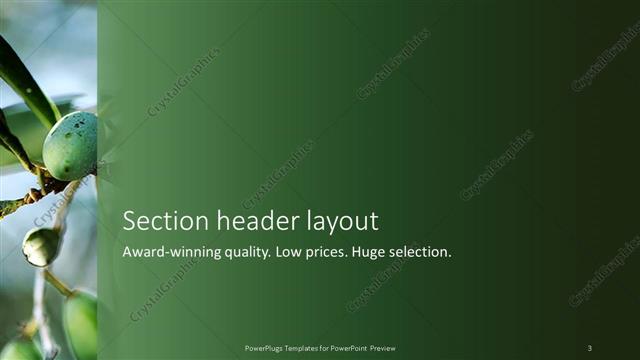 Section Header presentation slide layout