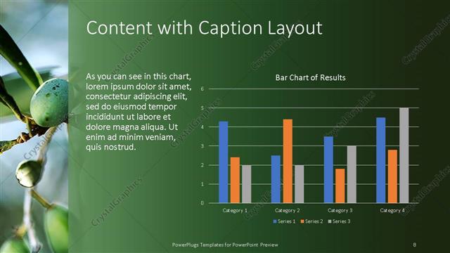 Content with Caption presentation slide layout