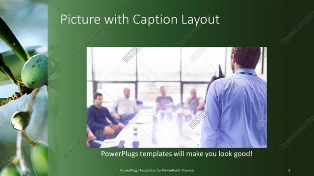 Picture with Caption presentation slide layout