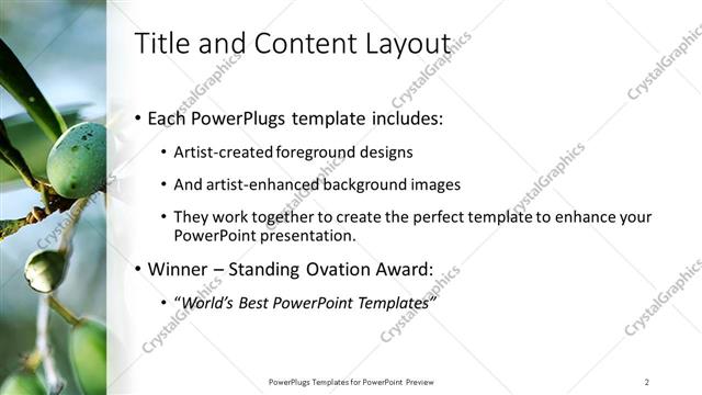 Title and Content presentation slide layout