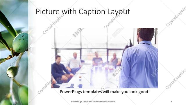 Picture with Caption presentation slide layout