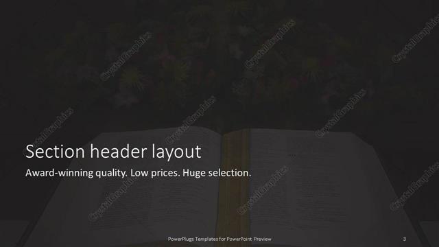 Section Header presentation slide layout