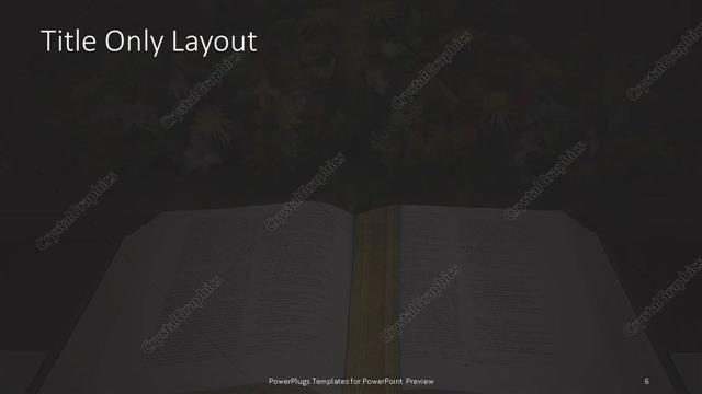 Title Only presentation slide layout