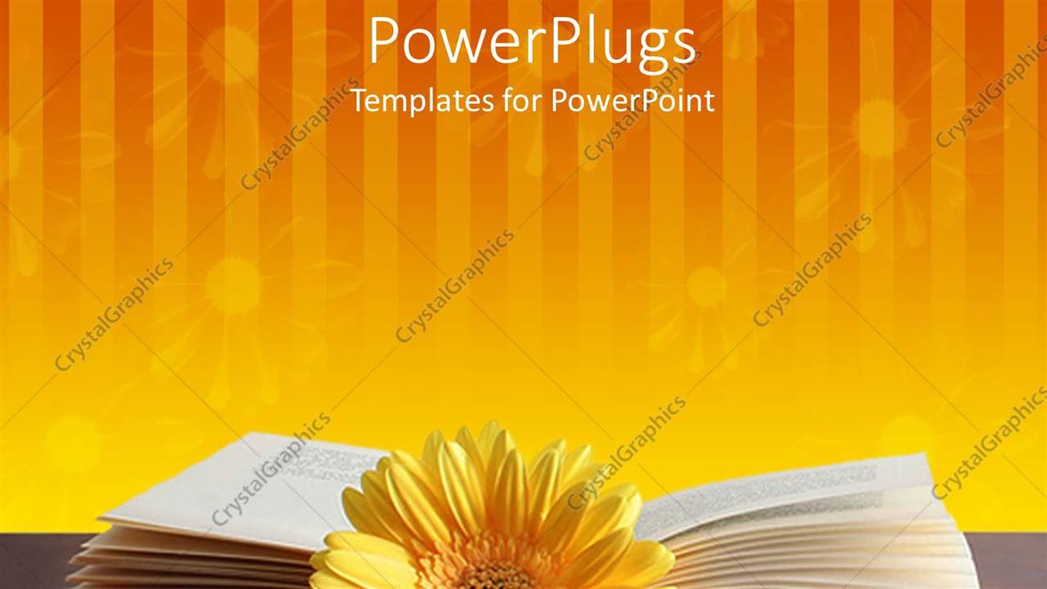 Premium Template for PowerPoint & Google Slides 