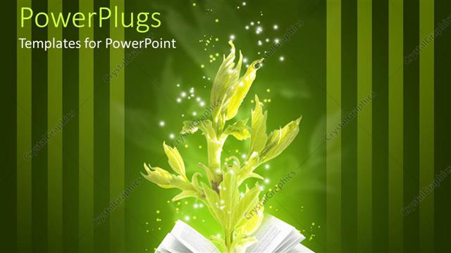  Presentation with magic book - An open book with a green plant growing from it