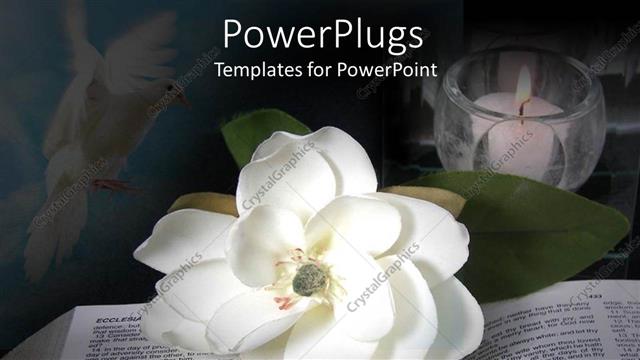  Presentation with candle - Open book with white flower and candle in a cup