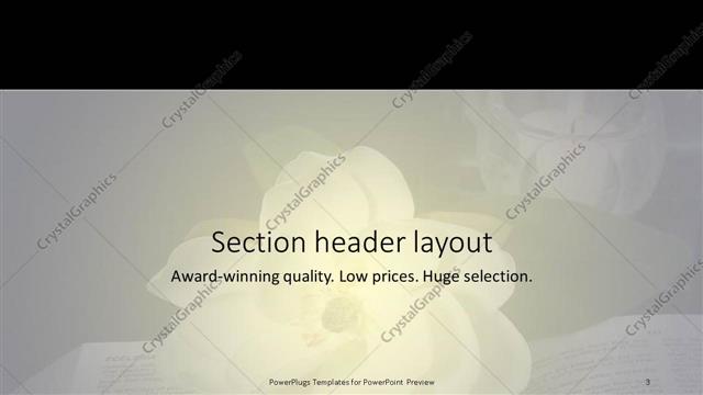 Section Header presentation slide layout