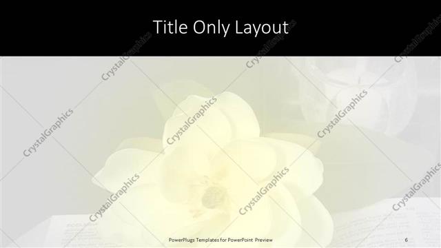 Title Only presentation slide layout