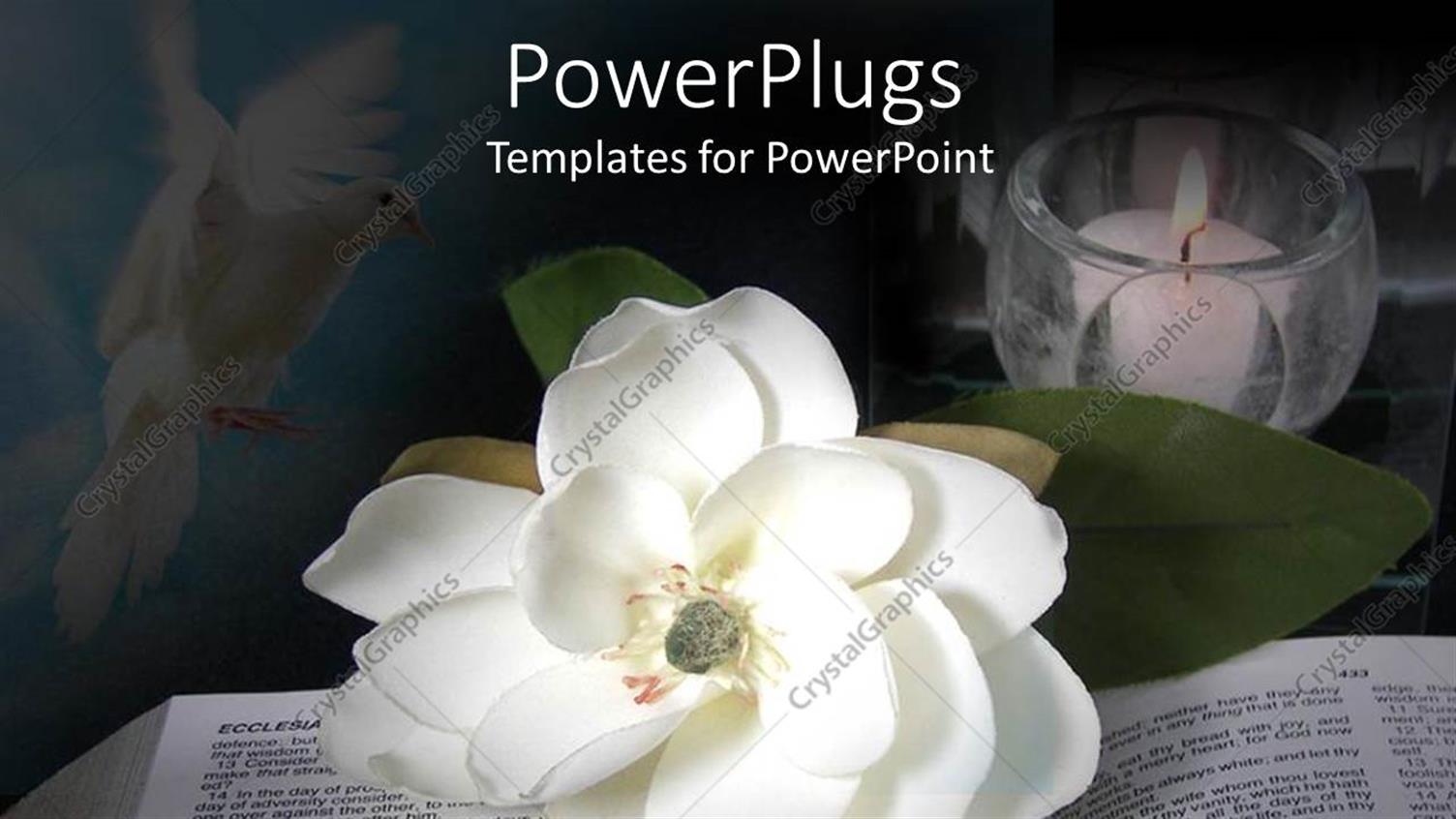 Premium Template for PowerPoint & Google Slides 