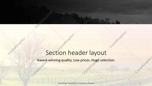 Section Header presentation slide layout