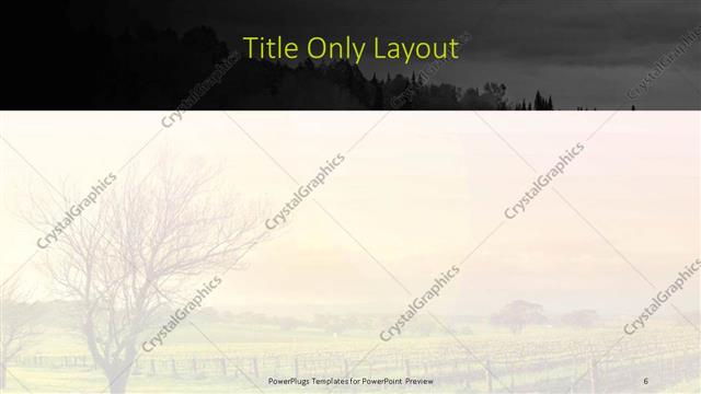 Title Only presentation slide layout