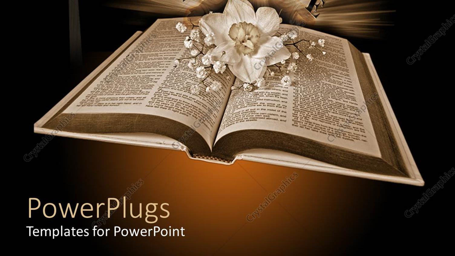 Premium Template for PowerPoint & Google Slides 