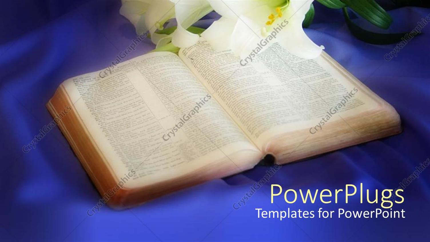 Premium Template for PowerPoint & Google Slides 