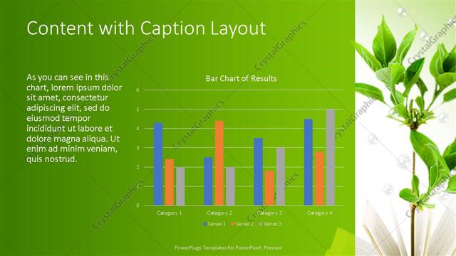 Content with Caption presentation slide layout