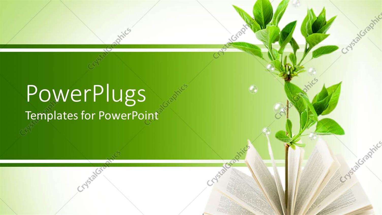 Premium Template for PowerPoint & Google Slides 