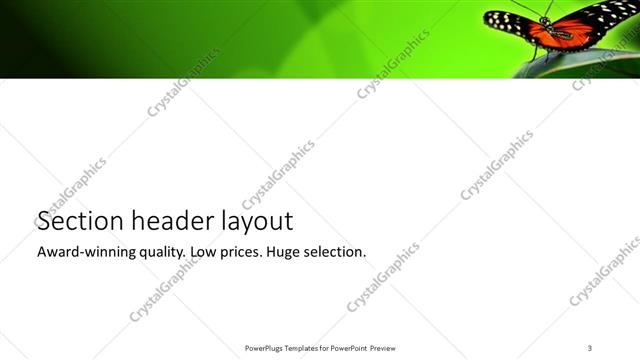 Section Header presentation slide layout