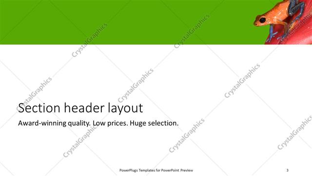 Section Header presentation slide layout