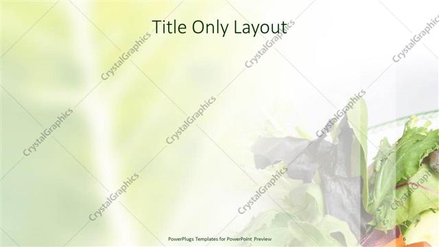 Title Only presentation slide layout