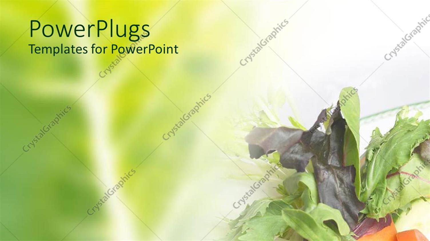 Premium Template for PowerPoint & Google Slides 