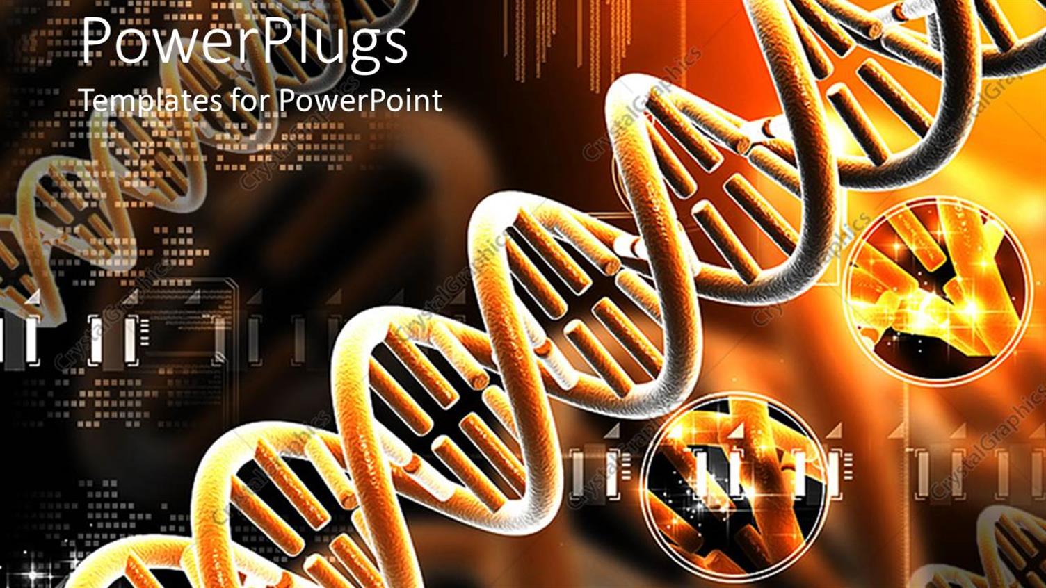 Premium Template for PowerPoint & Google Slides 