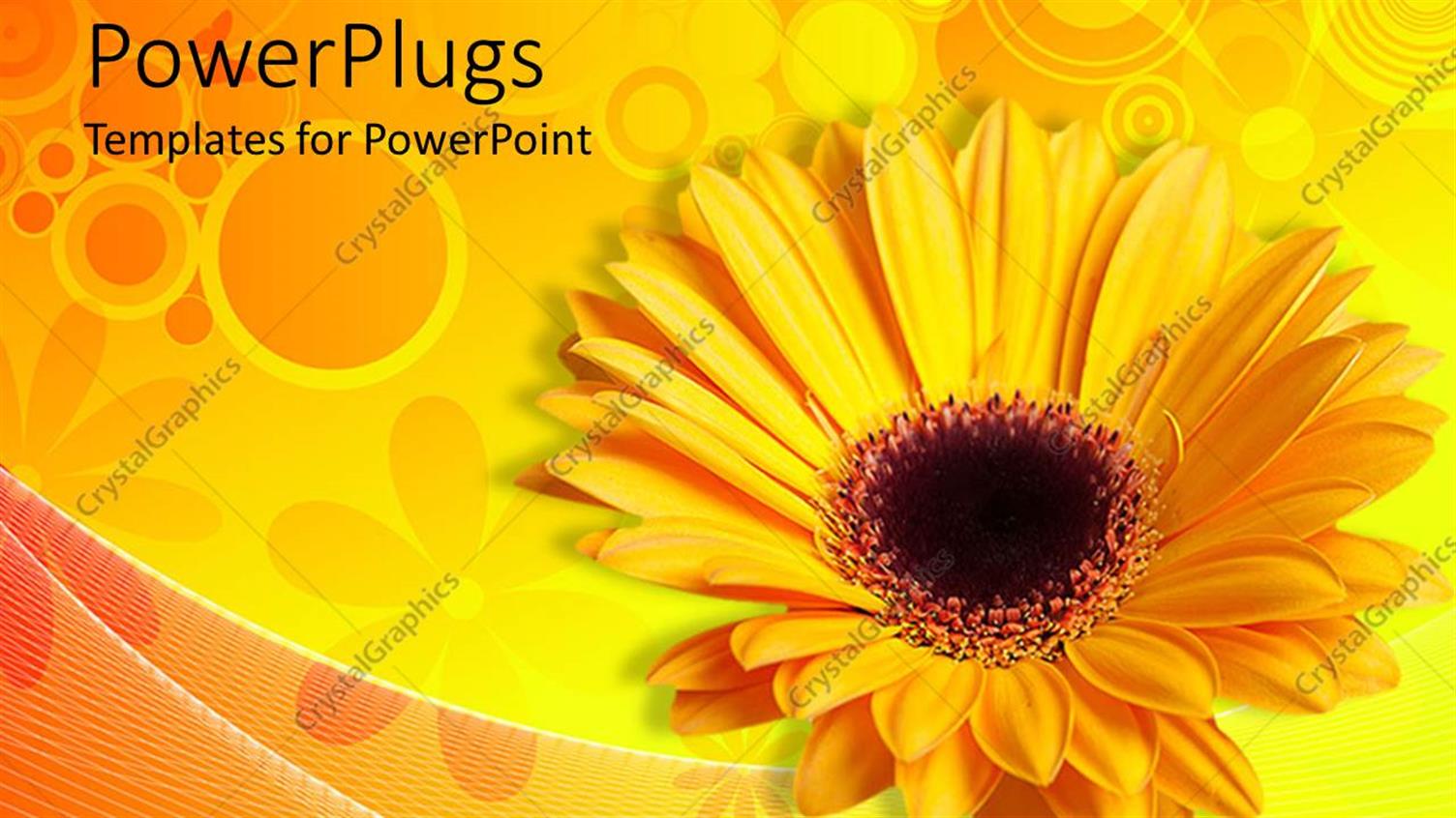 Premium Template for PowerPoint & Google Slides 