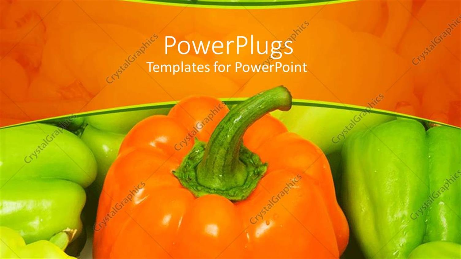 Premium Template for PowerPoint & Google Slides 