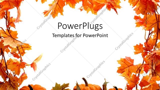  Presentation with fall - Orange pumpkins and leaves for autumn festival holidays on a white background