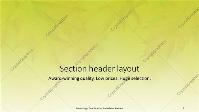 Section Header presentation slide layout