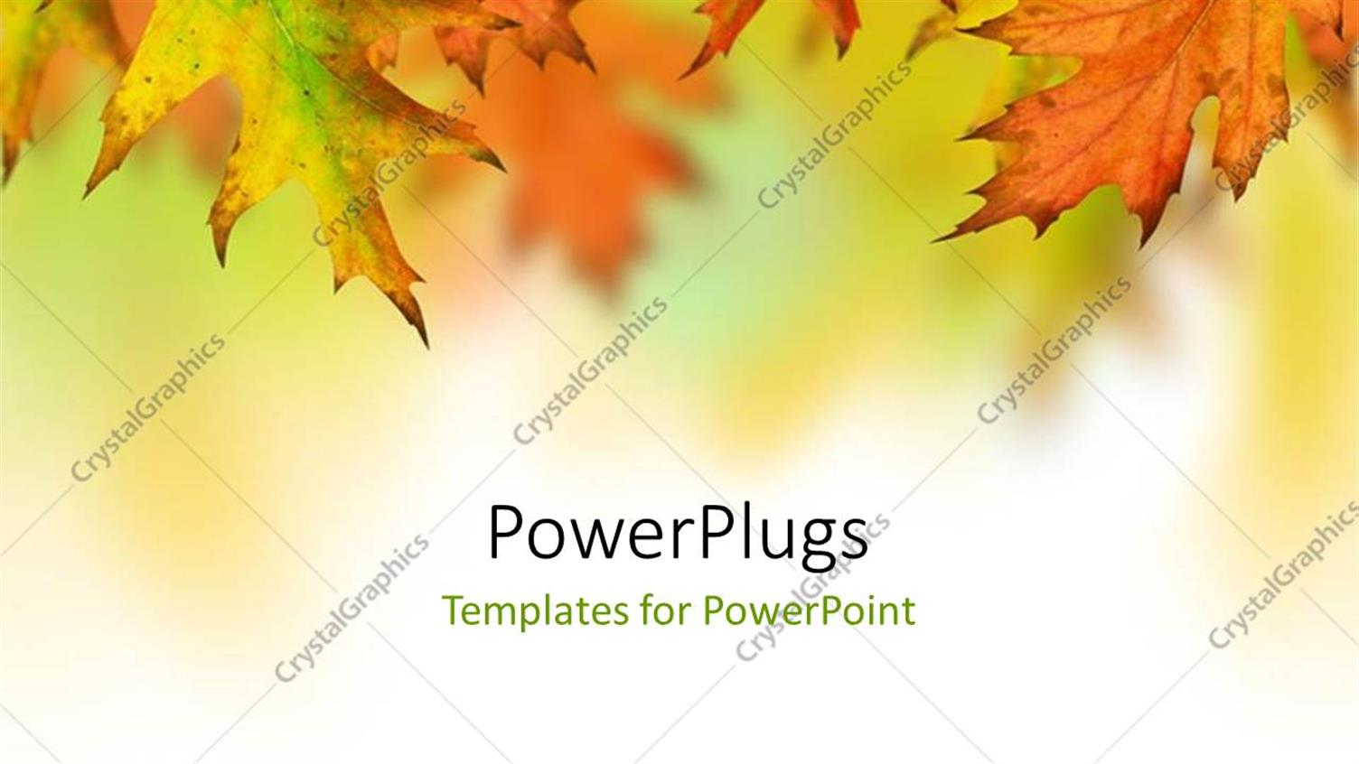 Premium Template for PowerPoint & Google Slides 