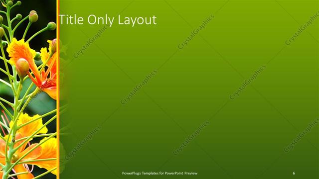 Title Only presentation slide layout