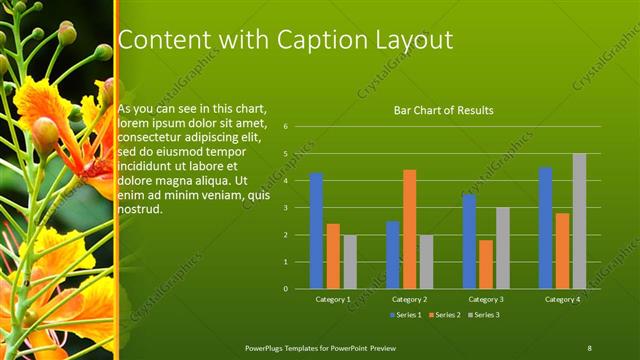 Content with Caption presentation slide layout